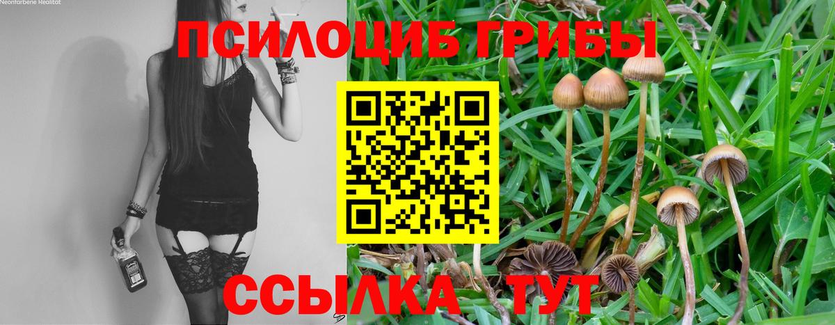 Донской  Галлюциногенные грибы мухоморы  Вход с VPN 