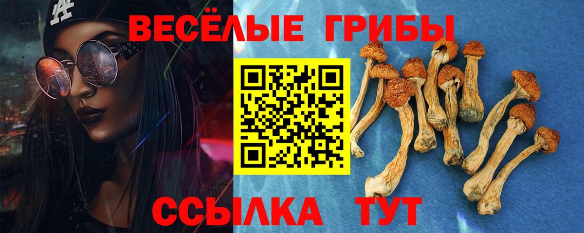 Галлюциногенные грибы Psilocybe Донской